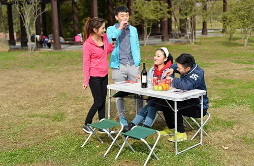 آلاف السنين من التطور: من رموز القوة إلى ملاذات الروح.