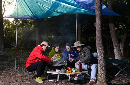 فن بيئة العمل: علم الراحة وتفاصيل التصميم في كراسي الاسترخاء.