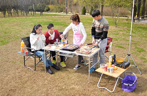 مركز متعدد الأبعاد للحياة العصرية: القيم الصحية والاجتماعية والجمالية لكراسي الاسترخاء.